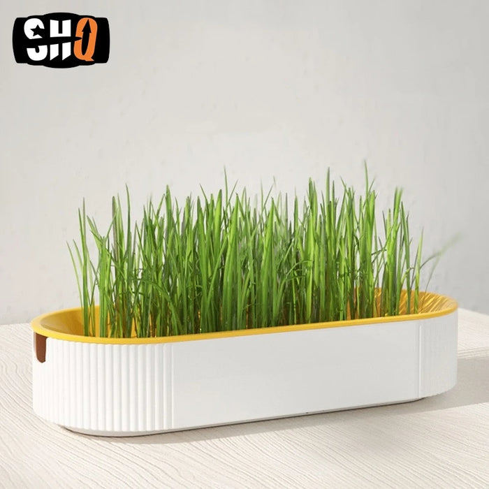 Hydroponic Cat Grass Box Pet Cat Sprout Dish Growing Pot Hydroponic Plant Cat Grass Germination Digestion Starter Dish Sprouter