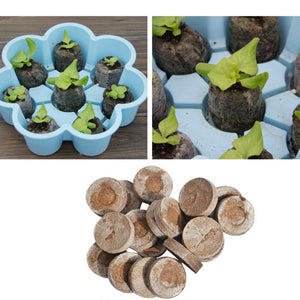 20pcs Seed Fertilizer Nutrient Peat Discs Peat Pellets Nutrient Compressed Soil Seedling Soil Block Maker For Plant Growing