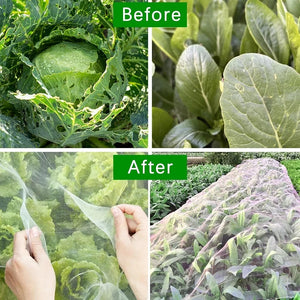 Garden Insect Protection Net Plant Vegetable Fruit Care Cover Network Greenhouse Protective Net Pest Control Anti-Bird Net