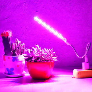 LED Growing Light Indoor Supplement Light Plant Grow Lamps Greenhouse Phyto Lamp Grow Red Blue Hydroponic Growing Light Strip