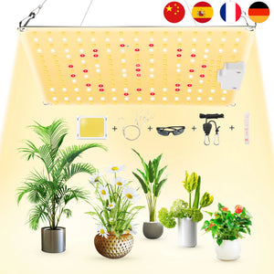 Full Spectrum LED Grow Light High 800W 500W With Samsung Diode Sunlike Quantum Grow Lamp Quantum Board Indoor Hydroponic Plant