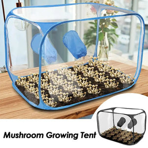 Still Air Box For Mushroom Planting Bag Mushroom Tent Propagation Stations Mushroom Grow Bags Horticulture Supplies