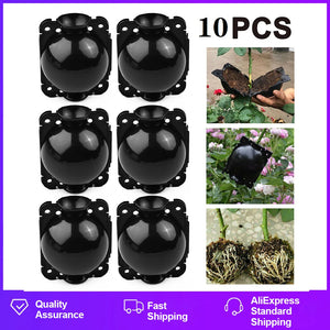 6/10Pcs Plant Rooting Ball High Pressure Graft Breeding Case Nursery Box Propagation Jardinage Plant Root Pot Garden Accessories