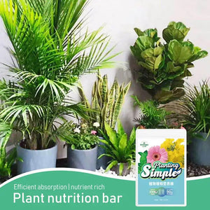 Plant Food Fertilizer Sticks Universal Plant Fertilizer For Houseplants 18 Sticks Of Potted Plants Nutrition Bar Various Crops