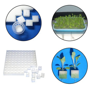 100 pieces White Seedling Sponge Soilless Hydroponic Vegetables Cultivation Plant Nursery Pots Seedlings Cloning Collar Garden