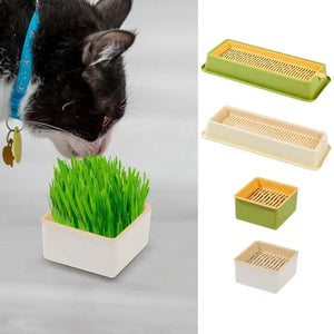 Cat Grass Growing Kit Kitten Sprout Dish Growing Pot Hydroponic Plant Container Cat Grass Planter Tray Indoor Pet Supplies