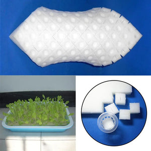 100 pieces White Seedling Sponge Soilless Hydroponic Vegetables Cultivation Plant Nursery Pots Seedlings Cloning Collar Garden