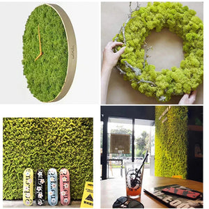 20/40g Artificial Plant Eternal Life Moss Green Fake Moss For Home Flowerpot Wall Decor Mini Garden Turf Micro Landscape Supply