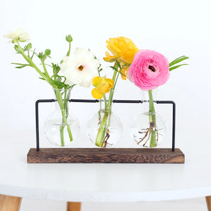 Wall Hanging Planter Terrarium for Hydroponic Plants Propagation Station Flower Pot Bulb Glass Vase for Office Home Decoration