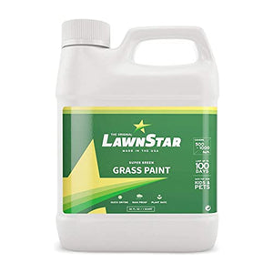 LawnStar Grass Lawn Plant Safe Paint Concentrate Retouch Colorant for Dead Dry Grass with 500-1,000 Square Ft Coverage, 32 Ounce, Lush Green (2 Pack)