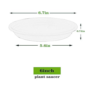 5 Packs Plant Saucer 6 8 10 12 14 16 19 22 26 Inch Plastic Pot Tray Flower Planter Saucers and Drip Trays for Indoors Outdoors, Thick Heavy Sturdy Durable Plant Plate Water Catcher (6 Inch Black)