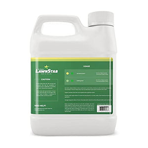 LawnStar Grass Lawn Plant Safe Paint Concentrate Retouch Colorant for Dead Dry Grass with 500-1,000 Square Ft Coverage, 32 Ounce, Lush Green (2 Pack)