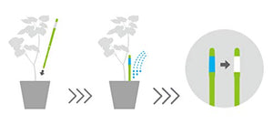 Sustee Aquameter, Set of 5, Plant Soil Moisture Sensor (Green, Small)