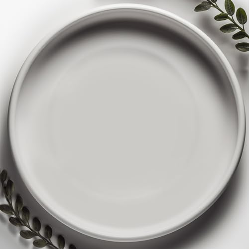 Willowy Matte White Ceramic Pot Saucer - Drainage Tray for 12, 13, 14, 15 Inch Planters + More Sizes