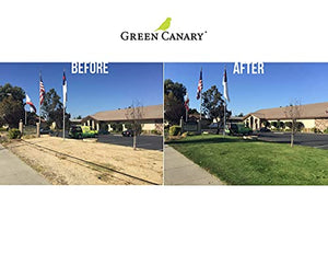 4 Gallons Green Canary Pre-Mixed Grass Colorant -Includes One Battery Powered Sprayer - Environmentally Safe, Natural Looking Turf, Green Grass Paint, Ready to Apply Grass Colorant, Made in USA