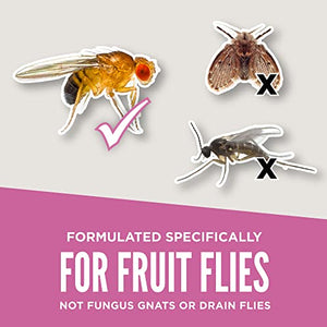 Aunt Fannie’s FlyPunch Fruit Fly Trap (2 Pack): for Indoor and Kitchen Use – Made with Plant Based Ingredients