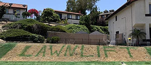 LawnLift Ready to spray Lawn paint. No Mixing required. Covers up to 100 sq. feet.