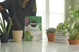 Miracle-Gro Succulent Potting Mix: Fertilized Soil with Premium Nutrition for Indoor Cactus Plants, Aloe Vera and More, 4 qt.