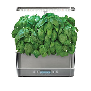 AeroGarden Pesto Basil Seed Pod Kit, 6 pod