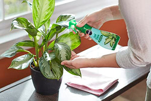 Miracle-Gro Leaf Shine, 8-Ounce Green