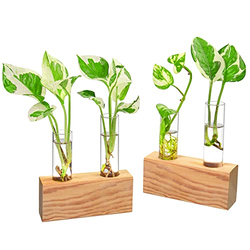 Ivolador Crystal Glass Double Test Tube Plants Terrariums in Wooden Stand Propagation Station for Hydroponic Plants Office Home Decoration