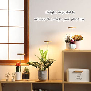 Plant Grow Light for Indoor Plant,Bamboo Mini LED Grow Light Garden,Height Adjustable,Automatic Timer with 8/12/16 Hours