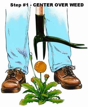 Grampa's Weeder - The Original Stand Up Weed Puller Tool with Long Handle - Made with Real Bamboo & 4-Claw Steel Head Design - Easily Remove Weeds Without Bending, Pulling, or Kneeling