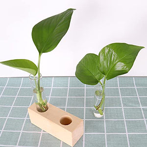 Ivolador Crystal Glass Double Test Tube Plants Terrariums in Wooden Stand Propagation Station for Hydroponic Plants Office Home Decoration