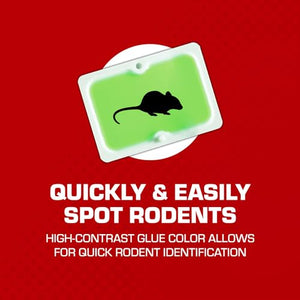 Tomcat Super Hold Glue Traps Mouse Size, Contains 4 Traps - Captures Mice - Also Used for Cockroaches, Scorpions, Spiders and Many Other Pests