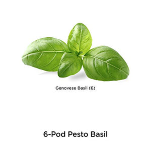 AeroGarden Pesto Basil Seed Pod Kit, 6 pod