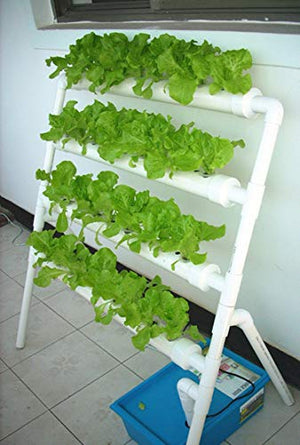 HYDDNice Hydroponic Grow Kit 4 Layers 36 Plant Sites Garden Planting System Hydroponic Growing System Water Culture Garden Plant System Garden Vegetable Planting Tool