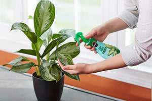 Miracle-Gro Leaf Shine, 8-Ounce Green