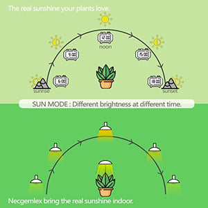 Necgemlex Smart LED Grow Light Bulbs with Remote Controller, Sun Mode, Built-in Daily Auto Timer, 4500K, A21/A70 E26/E27 9W Dimmable Full Spectrum Grow Bulbs for Indoor Plants, 2 Pack