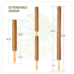 Monstera, 52 Inch Moss Stick, Fusisi Plant Pole for Climbing Plants Coir Totem Plant Support for Indoor Potted Plants Train Creeper Plants Grow Upwards - 4 Pack