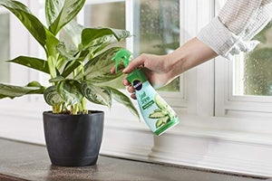 Miracle-Gro Leaf Shine, 8-Ounce Green