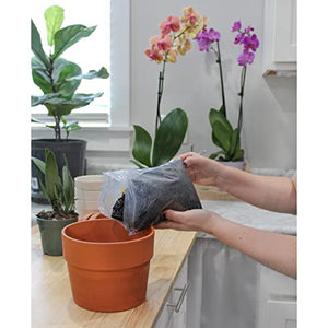 Horticultural Charcoal for Indoor Plants (2 Quarts), Hardwood Soil Additive for Orchids, Terrariums, and Gardening