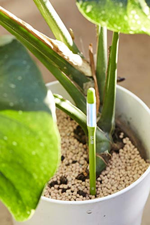Sustee Aquameter, Set of 5, Plant Soil Moisture Sensor (Green, Small)