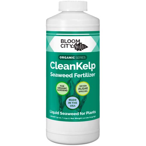 Organic Liquid Seaweed and Kelp Fertilizer Supplement by Bloom City, Quart (32 oz) Concentrated Makes 180 Gallons