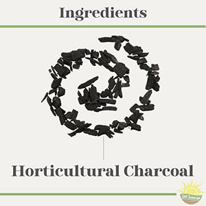Horticultural Charcoal for Indoor Plants (2 Quarts), Hardwood Soil Additive for Orchids, Terrariums, and Gardening