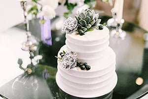 Shop Succulents Unique Succulent Plant Pack Bulk Collection - Live Mini Succulent Plants, Low Maintenance, Exceptional Colors & Textures - Wedding and Party Favors, Gift & Garden, Pack of 20