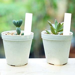 Mr. Pen- Plastic Plant Labels, 100 Pcs, 4“, White, Plant Markers and Labels for Outdoor Garden Waterproof, Plant Name Tags, Planting Sticks for Seeds