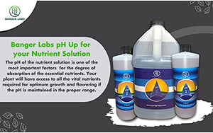 Banger Labs Premium pH up Solution 2.5 Gallon