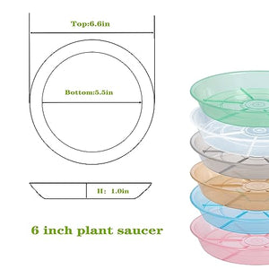 Afrine 6 Pack Plant Saucer Drip Tray, 4 5 6 8 9 10 12 14 16 18 inch, Heavy Sturdy Plastic Planter Flower Pot Saucers for Indoor Outdoor Garden, Plant Water Drip Trays for pots Base (6", Clear)