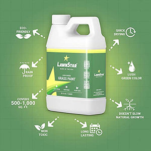 LawnStar Grass Lawn Plant Safe Paint Concentrate Retouch Colorant for Dead Dry Grass with 500-1,000 Square Ft Coverage, 32 Ounce, Lush Green (2 Pack)