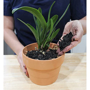 Horticultural Charcoal for Indoor Plants (2 Quarts), Hardwood Soil Additive for Orchids, Terrariums, and Gardening
