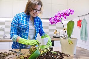 Better-Gro Phalaenopsis Mix - Premium Grade Phalaenopsis Potting Mix for Potting, Repotting, Enhanced Drainage, Air Flow & Root Ventilation, Ideal for Phalaenopsis Orchids - 8 Dry Quarts