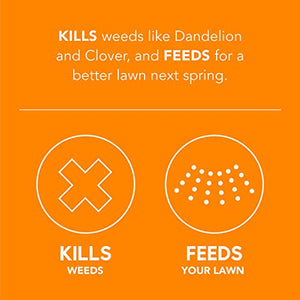 Scotts Turf Builder WinterGuard Fall Weed & Feed3, Weed Killer Plus Fall Fertilizer, 4,000 sq. ft, 11.43 lbs.