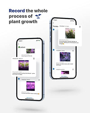 iDOO WiFi 12 Pods Hydroponics Growing System with APP Controlled, Indoor Garden with Pump System, Auto-Timer Smart Garden, Grow Light for Home Kitchen Gardening