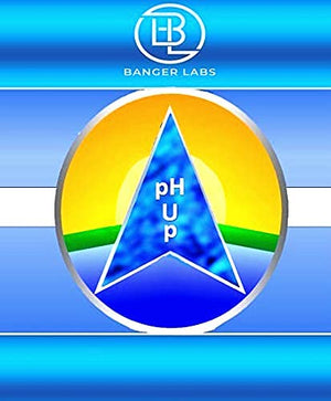 Banger Labs Premium pH up Solution 2.5 Gallon