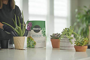 Miracle-Gro Succulent Potting Mix: Fertilized Soil with Premium Nutrition for Indoor Cactus Plants, Aloe Vera and More, 4 qt.
